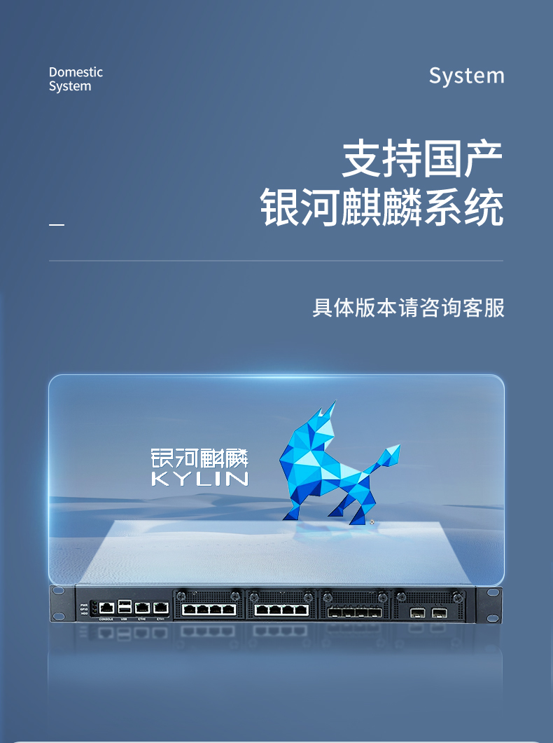 飛騰國(guó)產(chǎn)化工控機(jī),國(guó)產(chǎn)化系統(tǒng),DT-12420-SD2000.jpg